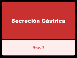Secreción Gástrica - Grupo3