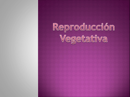 reproduccion vegetat..