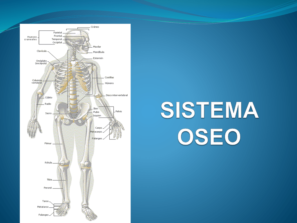 Осео. Oseo. Люшени система. Система ЕГНОС. HPDFO система.