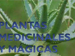 PLANTAS MEDICINALES Y MÁGICAS