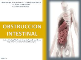 Obstruccion intestinal