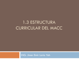 1.3 Estructura curricular del MACC
