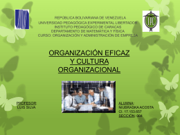 Organización Eficaz y Cultura Organizacional
