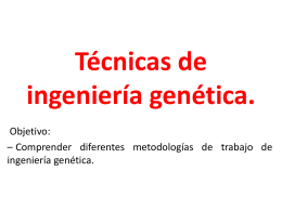 Técnicas de ingeniería genética.