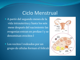 Ciclo Menstrual.