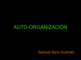 AUTO-ORGANIZACIÃ“N / SELF-ORGANIZATION El de auto