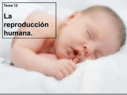 Diapositiva 1 - Todo Primaria | por Manuel García