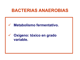Bacterias anerobias - .:: Microbiología