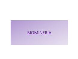Diapositiva 1 - El Blog de Bioquímica y