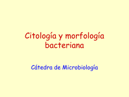 Citología y morfología bacteriana
