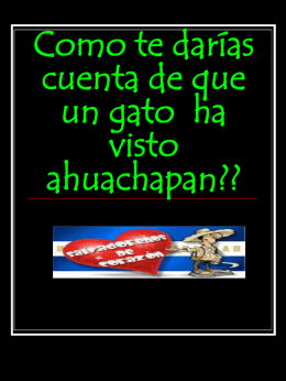 Como te darías cuenta de que un gato ha visto