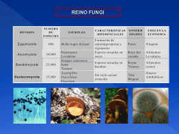 Diapositiva 1 - Microbiología Aplicada |
