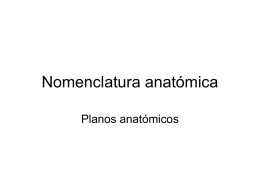 Nomenclatura anatómica