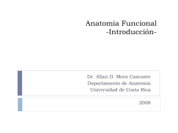 Anatomía Funcional -Introducción-