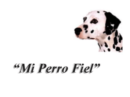 Sin título de diapositiva