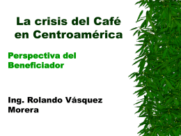 La crisis del Café en Centro América