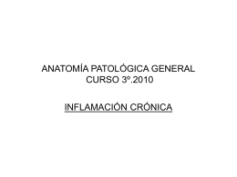ANATOMÍA PATOLÓGICA GENERAL CURSO 3º.TEMA11
