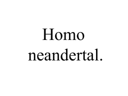 Homo neandertal.