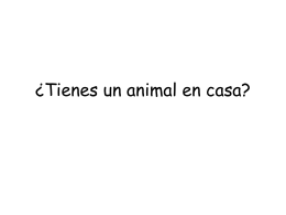 ¿Tienes un animal en casa?