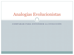 Analogías Evolucionistas