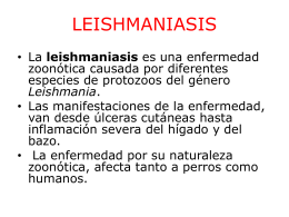 LEISHMANIASIS - Comunidad Teleinformática