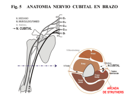 Sin título de diapositiva