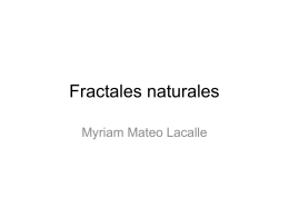 Fractales naturales - José Luis González Recio