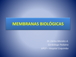 MEMBRANAS BIOLÓGICAS - Blog de Medicina UPV 2009