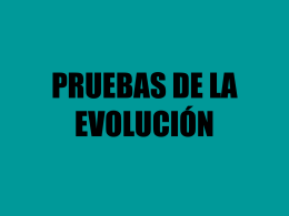 PRUEBAS DE LA EVOLUCIÓN