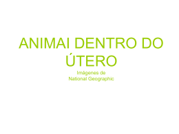 ANIMALES DENTRO DEL ÚTERO Imágenes de National