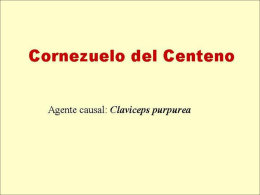 Agente causal - El Sitio de la ProducciÃ³n Bovina
