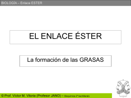 Diapositiva 1 - PROFESOR JANO es Víctor M. Vitoria