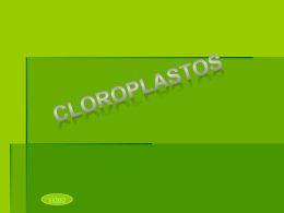 Envoltura de los cloroplastos