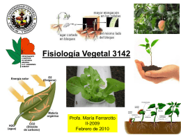 Fisiología Vegetal 3142 Fisiología Vegetal es una