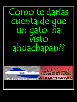 Como te darías cuenta de que un gato ha visto
