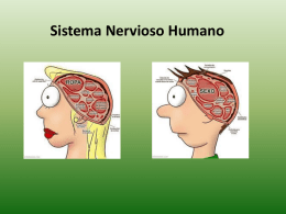 Diapositiva 1 - biologiacervantes