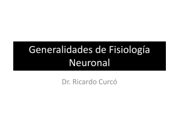 Generalidades de Fisiología Neuronal