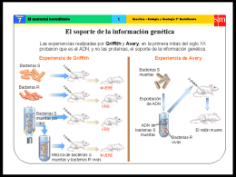 Sin título de diapositiva