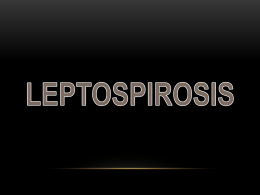 LEPTOSPIROSIS Introducción