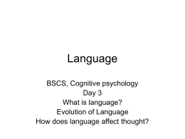 Cognitive Psychology - Kognitiv Tudományi Tanszék