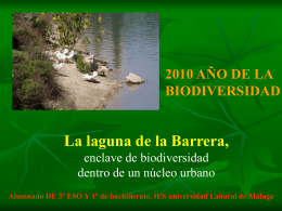 ¿Qué es la biodiversidad?