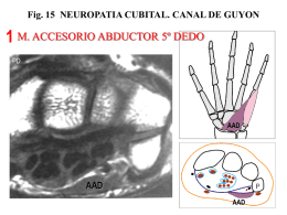 Sin título de diapositiva