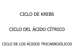 Presentación de PowerPoint