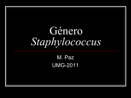Género Staphylococcus