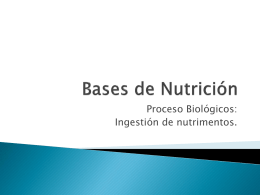Bases de Nutrición