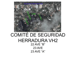 COMITÉ DE SEGURIDAD HERRADURA VH2