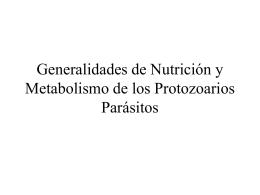 Generalidades de Nutrición y Metabolismo de los