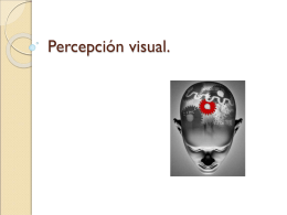 Percepción visual.