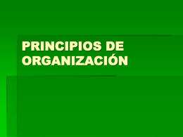 PRINCIPIOS DE ORGANIZACIÓN º