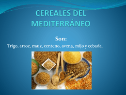 CEREALES DEL MEDITERRÁNEO